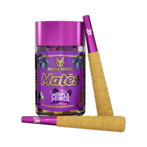 PURPLE PUNCH | SATIVA