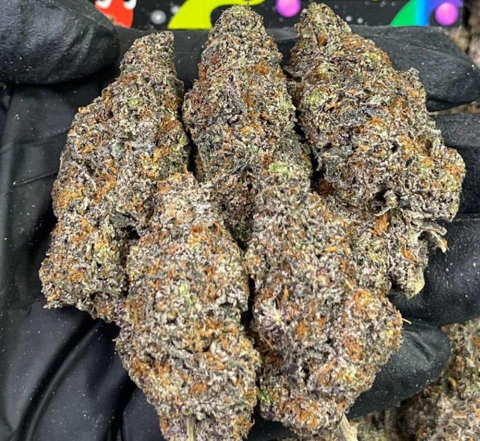 BLACK SAPPHIRE RUNTZ