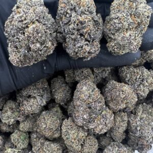 Blue Cherry Gelato zaza