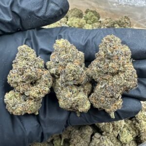 Zkittles Runtz